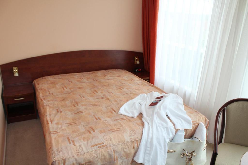 Hotel Balneolum Superior Quedlinburg Rom bilde